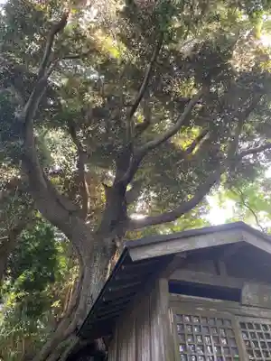天満神社(千葉県)