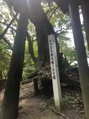 都萬神社(宮崎県)