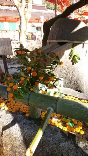 賀茂別雷神社（上賀茂神社）(京都府)