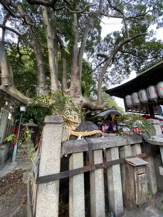 満足稲荷神社の自然