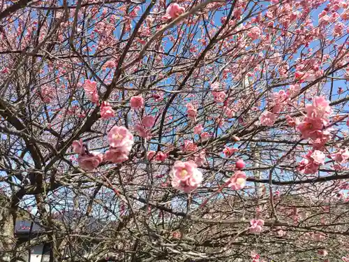 信達神社の自然