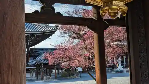 興正寺(京都府)
