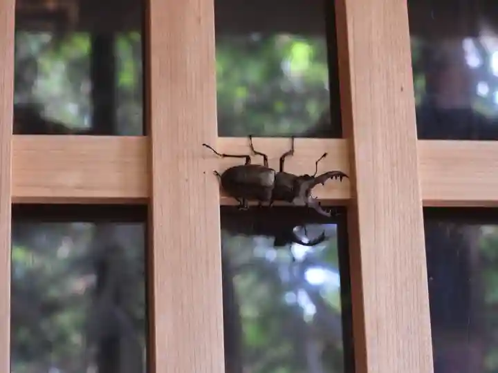 御嶽神社(王滝口)里宮(長野県)