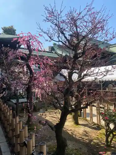 大阪天満宮の自然