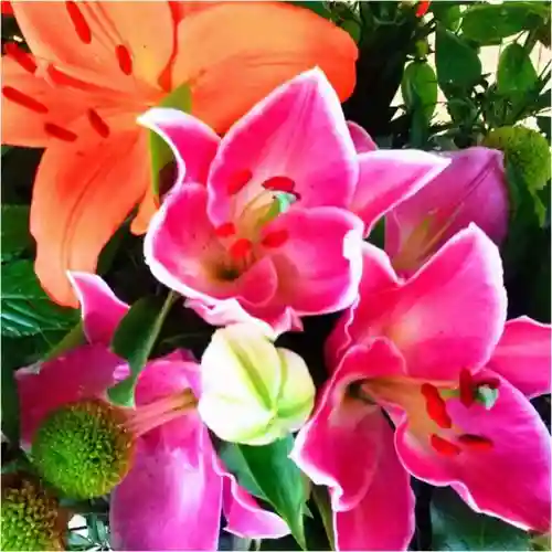 彌彦神社　(伊夜日子神社)の手水舎