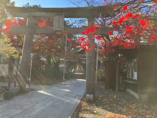 彌彦神社　(伊夜日子神社)の鳥居