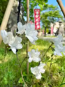 伊達神社の自然(2021年06月09日(水) 10時04分07秒投稿)