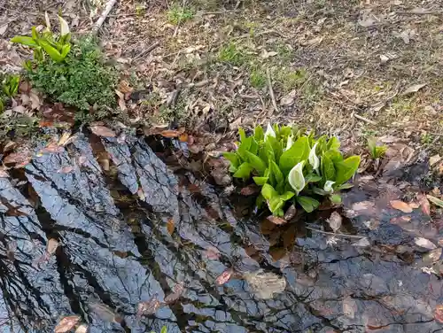 鹿島大神宮(福島県)