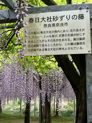 和気神社(鹿児島県)
