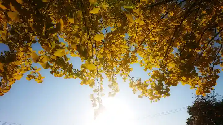 尾張大國霊神社(国府宮)の自然