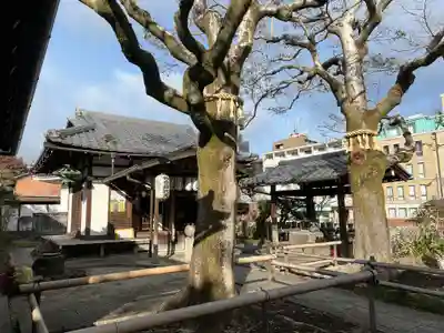 出町妙音堂のその他建物