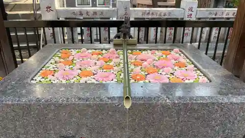 高円寺氷川神社(東京都)