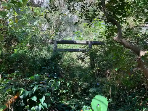 浅間神社の鳥居