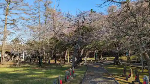 国泰寺の庭園