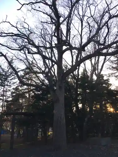 栗沢神社の景色