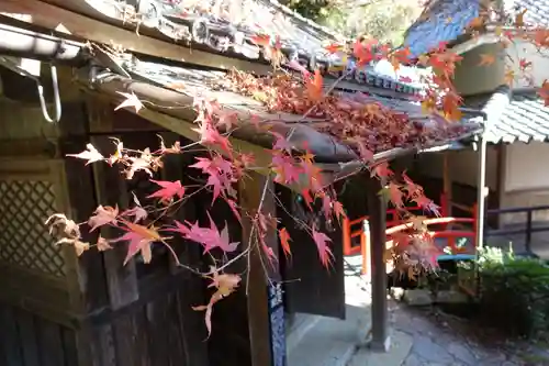 柳谷観音　楊谷寺のその他建物