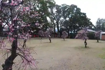 美奈宜神社(福岡県)