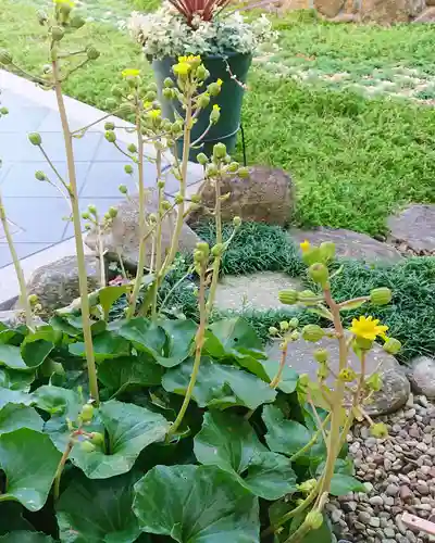 寿量山　速成寺の自然
