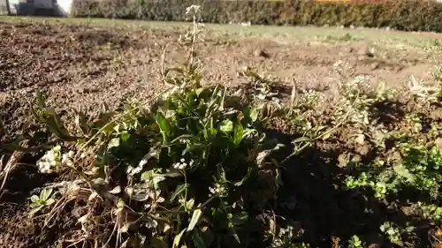 天神社（治郎丸東）のその他建物