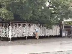 寒川神社のおみくじ