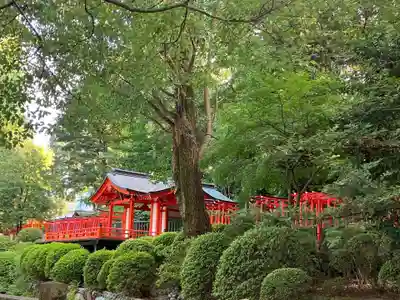 乙女稲荷神社(東京都)