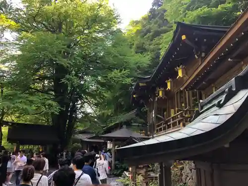 貴船神社(京都府)