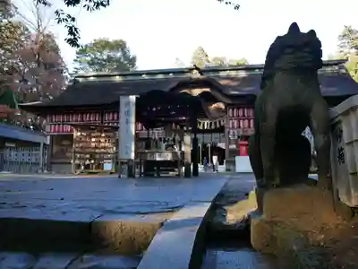 大崎八幡宮の狛犬