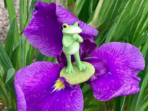 諫早神社（九州総守護  四面宮）(長崎県)