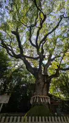 熱田神宮(愛知県)