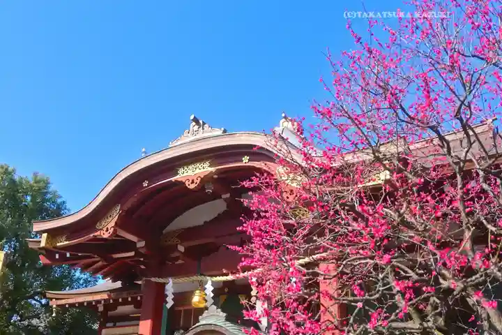 亀戸天神社(東京都)