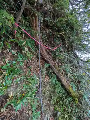 戸隠神社奥社の周辺