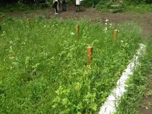 白旗神社(西御門)(神奈川県)