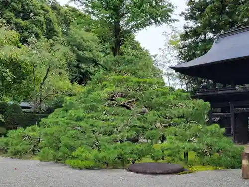 慈雲寺の庭園