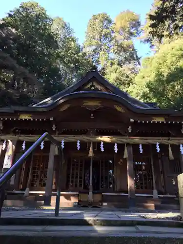 鳩ヶ嶺八幡宮の本殿・本堂