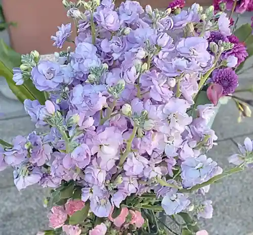 釋迦院（釈迦院）(大阪府)