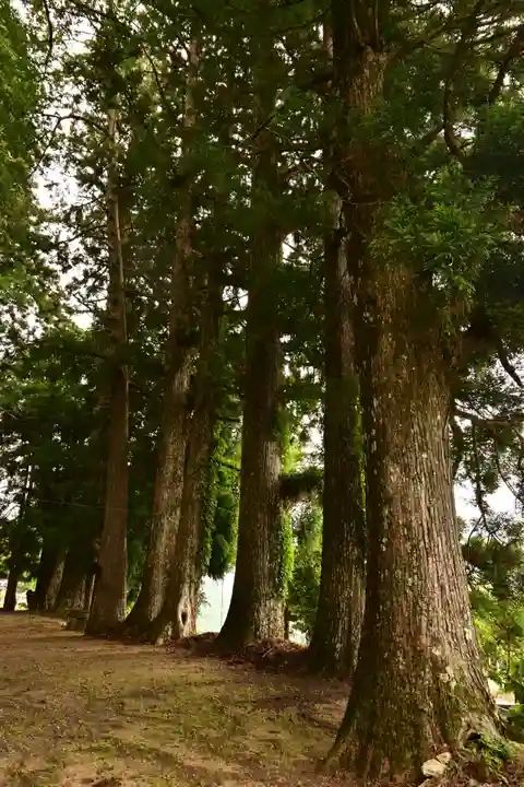 鉾神社(徳島県)
