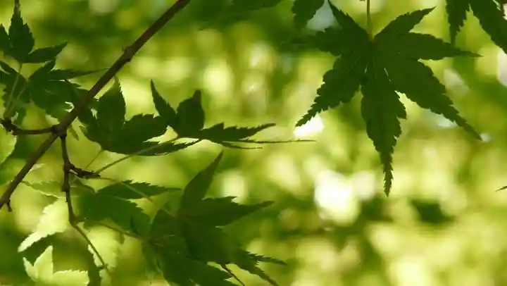 智積院(京都府)