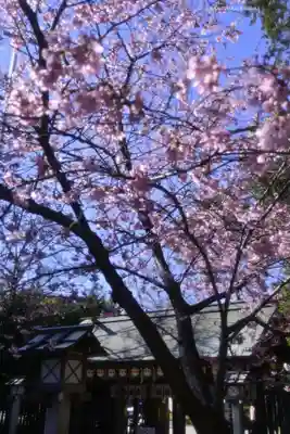 櫻木神社(千葉県)