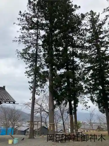 岡田神社(長野県)
