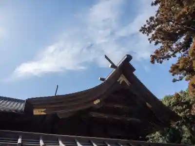 箭弓稲荷神社の{uncategorized: "未分類", other: "その他", undefined: "問題あり", building: "その他建物", grave: "お墓", sacred_gate: "鳥居", guardian: "狛犬", statue: "像", buddha: "仏像", history: "歴史", nature: "自然", garden: "庭園", animal: "動物", pagoda: "塔", temizu: "手水舎", mountain_gate: "山門・神門", sanctuary: "本殿・本堂", subordinate: "末社・摂社", art: "芸術", scenery: "景色", jizo: "地蔵", ema: "絵馬", goshuin: "御朱印", omikuji: "おみくじ", items: "授与品その他", amulet: "お守り", goshuincho: "御朱印帳", eats: "食事", festival: "お祭り", votive_dance: "神楽", shichigosan: "七五三参", wedding: "結婚式", experience: "体験その他", initially: "初詣", around: "周辺", anti_infection: "感染症対策"}
