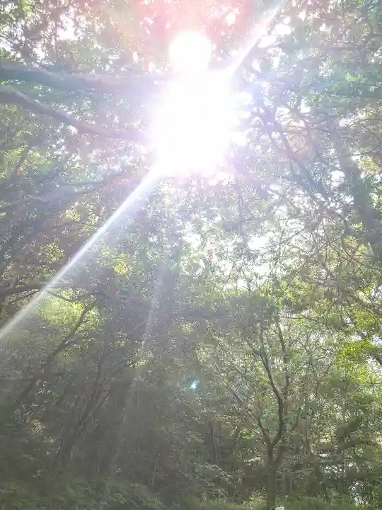 足高神社の自然
