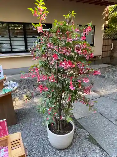 赤坂氷川神社(東京都)