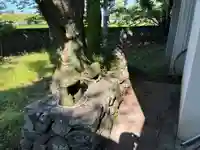 古烏神社(徳島県)