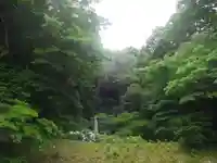 安國論寺(安国論寺)の自然