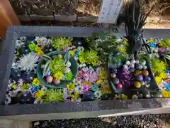 下野 星宮神社(栃木県)