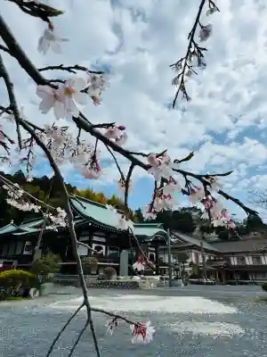 大雄院(茨城県)