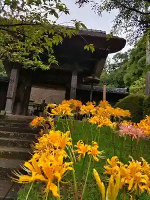 横浜　西方寺(神奈川県)