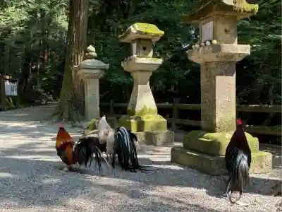 石上神宮(奈良県)