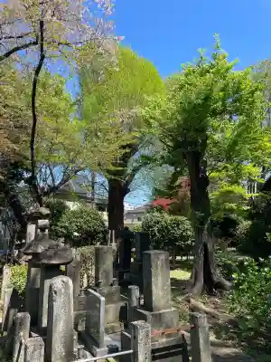 久成寺の{uncategorized: "未分類", other: "その他", undefined: "問題あり", building: "その他建物", grave: "お墓", sacred_gate: "鳥居", guardian: "狛犬", statue: "像", buddha: "仏像", history: "歴史", nature: "自然", garden: "庭園", animal: "動物", pagoda: "塔", temizu: "手水舎", mountain_gate: "山門・神門", sanctuary: "本殿・本堂", subordinate: "末社・摂社", art: "芸術", scenery: "景色", jizo: "地蔵", ema: "絵馬", goshuin: "御朱印", omikuji: "おみくじ", items: "授与品その他", amulet: "お守り", goshuincho: "御朱印帳", eats: "食事", festival: "お祭り", votive_dance: "神楽", shichigosan: "七五三参", wedding: "結婚式", experience: "体験その他", initially: "初詣", around: "周辺", anti_infection: "感染症対策"}