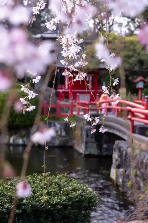 三嶋大社(静岡県)